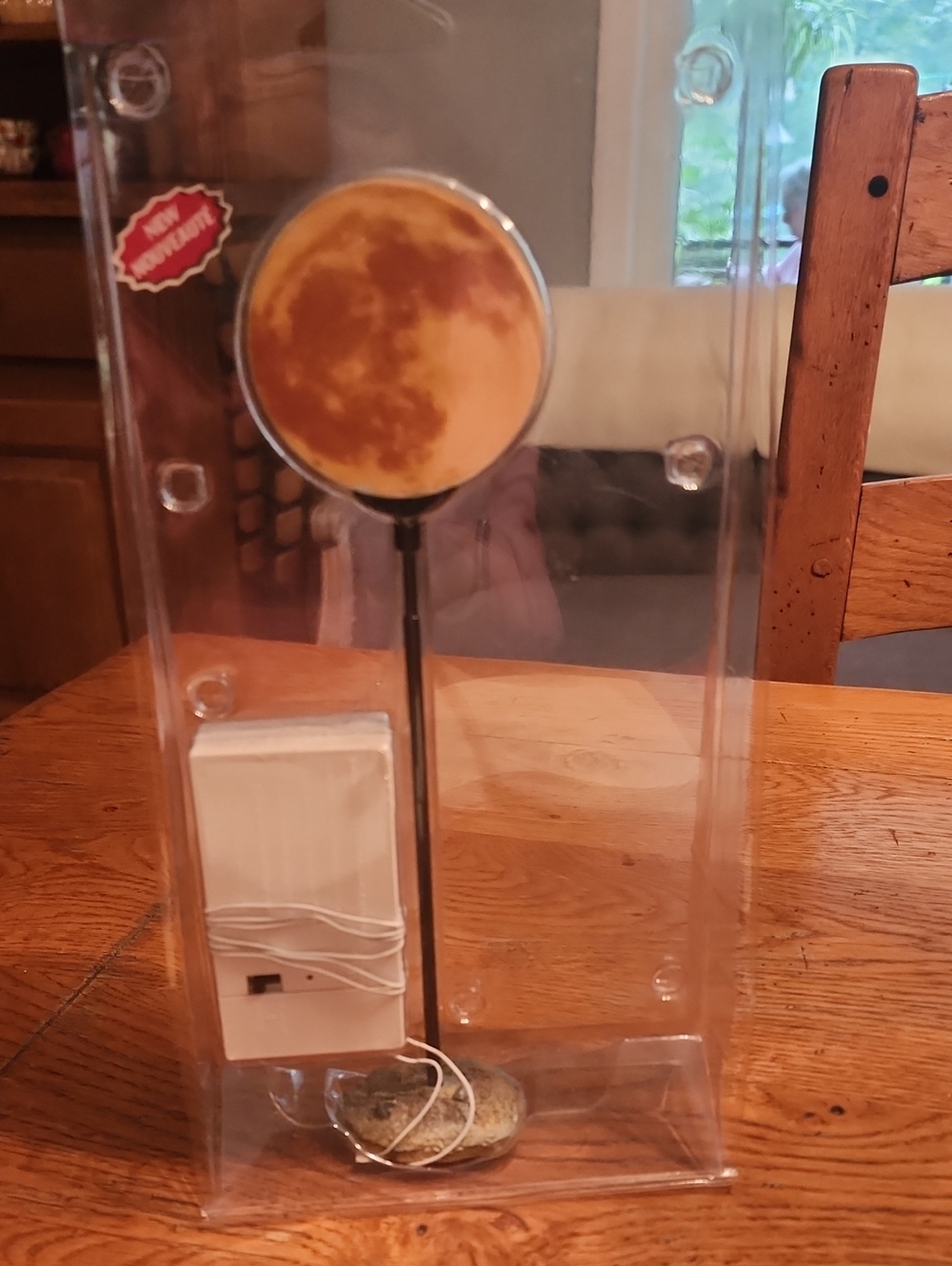 Lemax Spooky Town Collection Light Up Moon